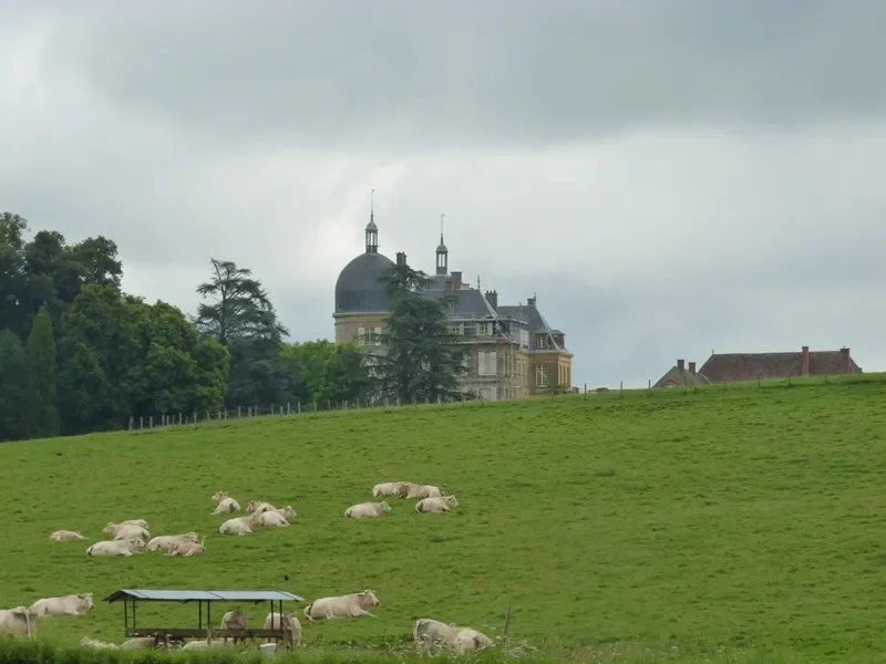 le château de Digoine