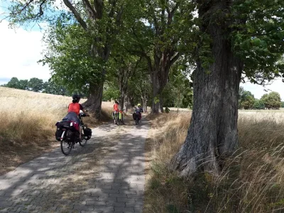 Une famille pédale sur une route agricole, à l'ombre des arbres