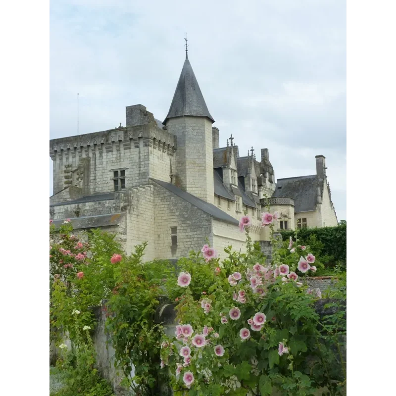 abbaye royale de Fontevraud