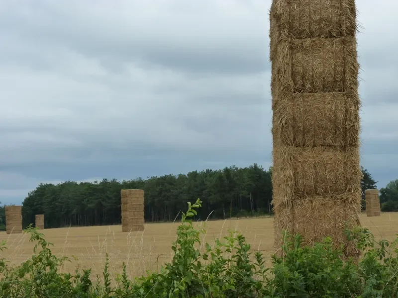 paysage du nivernais sur l'Eurovélo 6