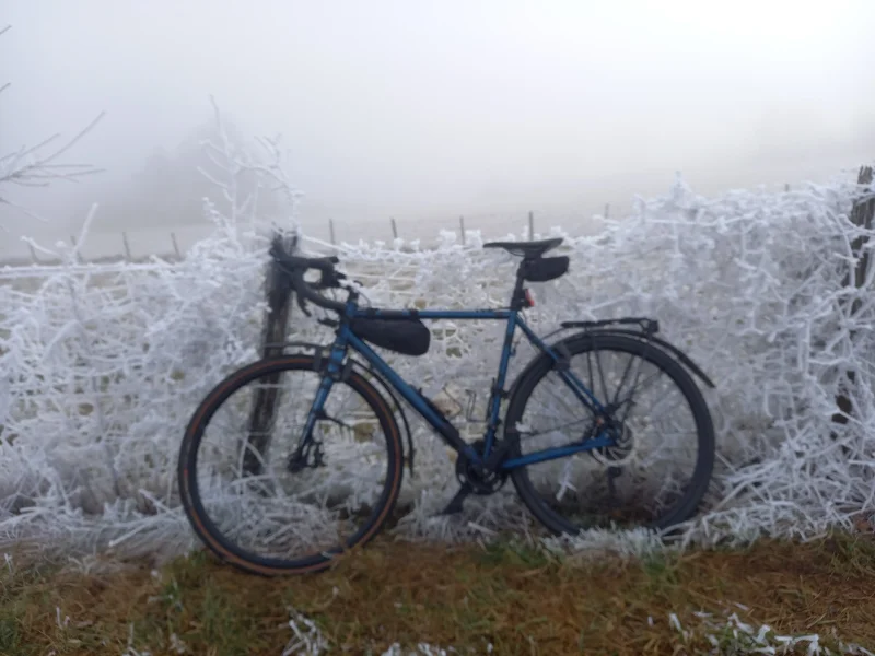 Vélo posé contre une haie givrée