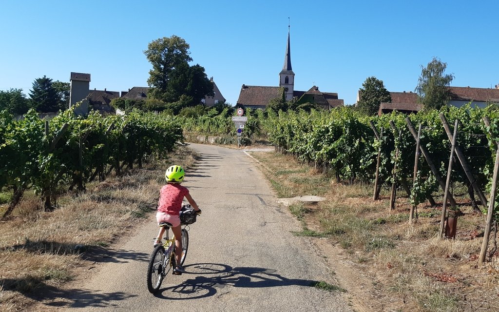 Photo : Véloroute du vignoble d'Alsace, vigne et village
