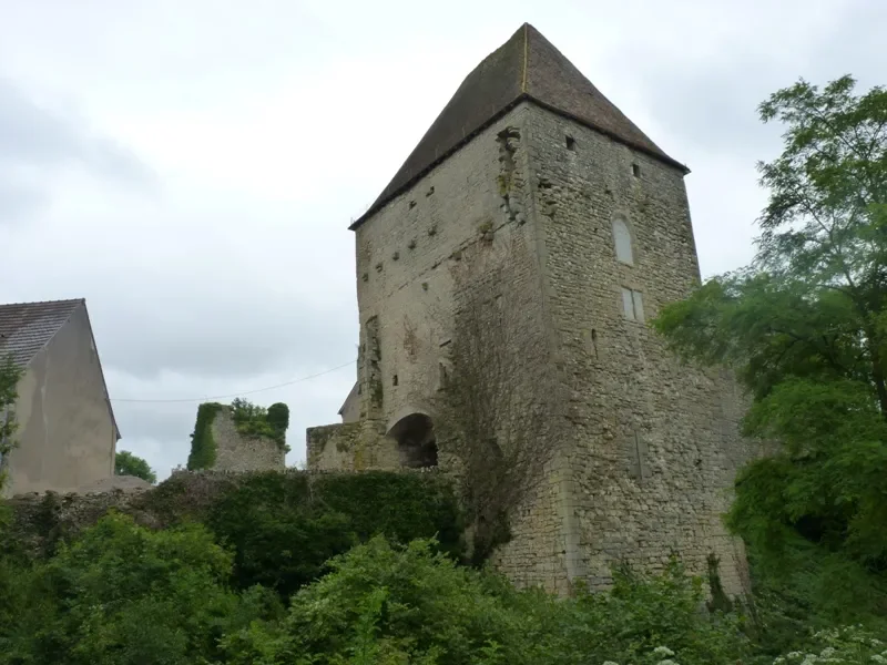 château de Rosement à Luthenay-Uxeloup