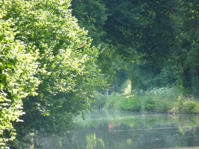 le canal d'Orléans - Eurovélo 6 / la Loire à vélo