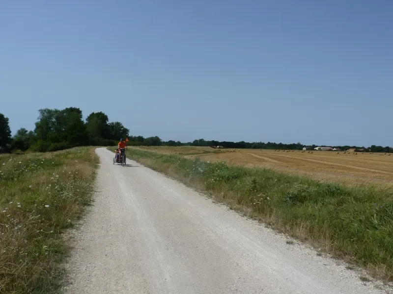 chemin cyclable dans les champs - Eurovélo 6 / la Loire à vélo