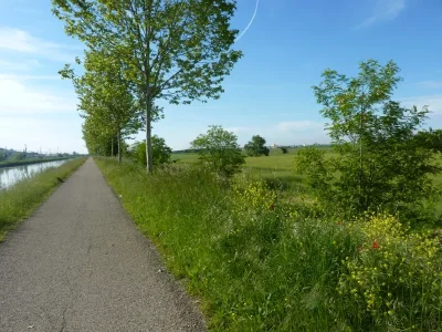 entre Saint-Jory et Montech sur la voie verte du canal latéral à la Garonne