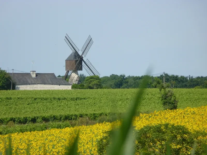 moulin à vent