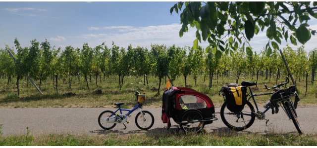 Photo : la remorque et le vélo enfant