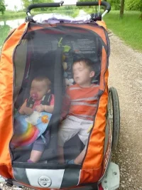 L'heure de la sieste dans la carriole