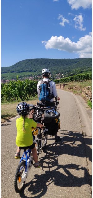Tractée par papa Photo: enfant en Follow-Me derrière papa bien chargé