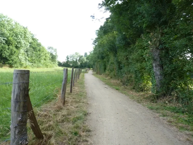 Chemin cyclable sur l'Eurovélo 6 / la Loire à vélo