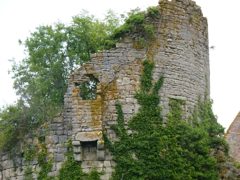 château de Rosement à Luthenay-Uxeloup