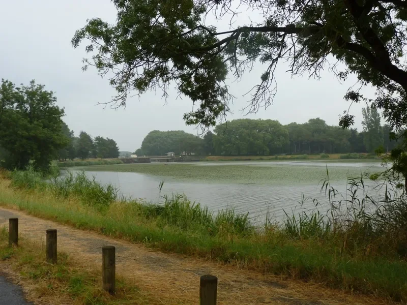 La Loire sous la pluie au départ de Frossay