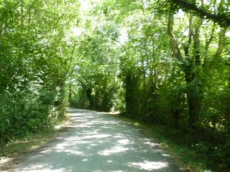 Chemin cyclable sur l'Eurovélo 6 / la Loire à vélo