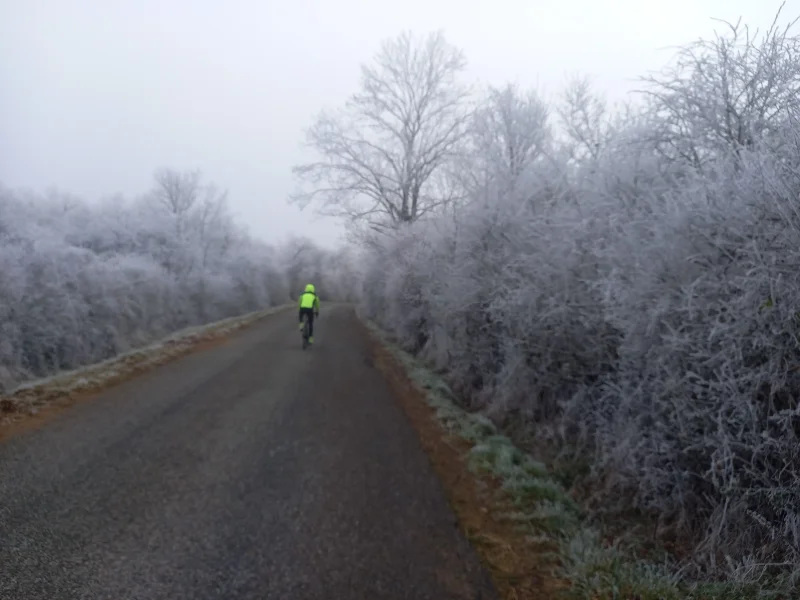 Cycliste en jaune fluo sur une route dans une forêt givrée
