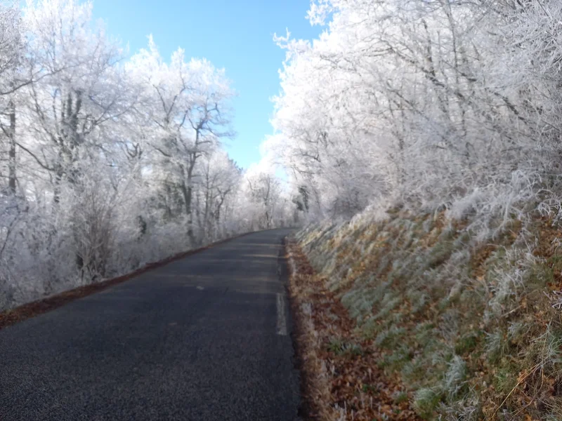 Route entre les arbres givrés sous le soleil