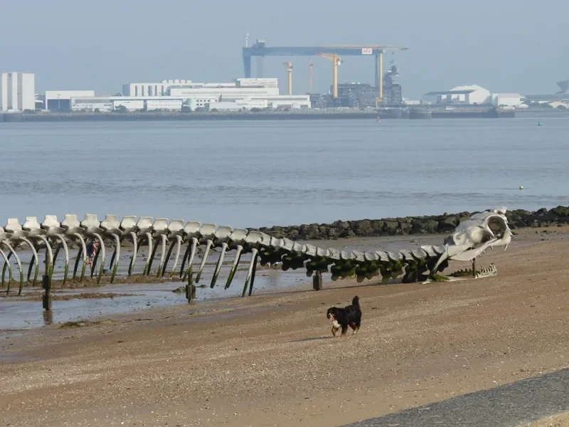 Sculpture « serpent d'océan » de Huang Yong Ping à Saint-Brévin-les-Pins