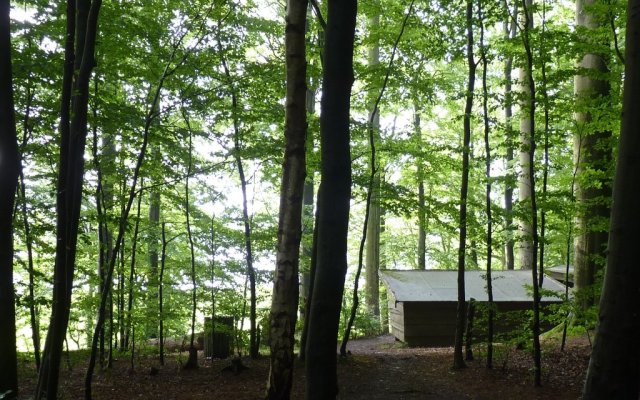 Shelter au fond de la forêt Photo : shelter au fond de la forêt, Danemark