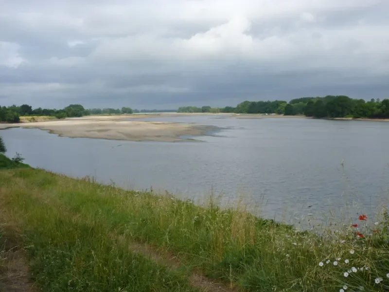 Paysage ligérien sur l'Eurovélo 6 / la Loire à vélo