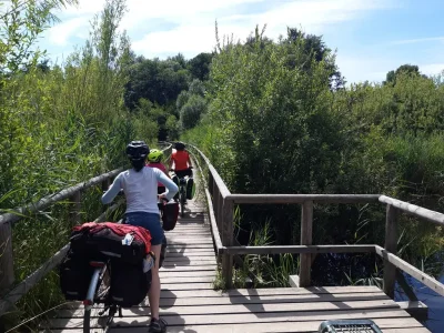 Une famille à vélo sur un ponton en bois au milieu de la végétation