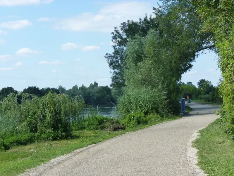 bords de Saône sur l'Eurovélo 6 / la Voie Bleue