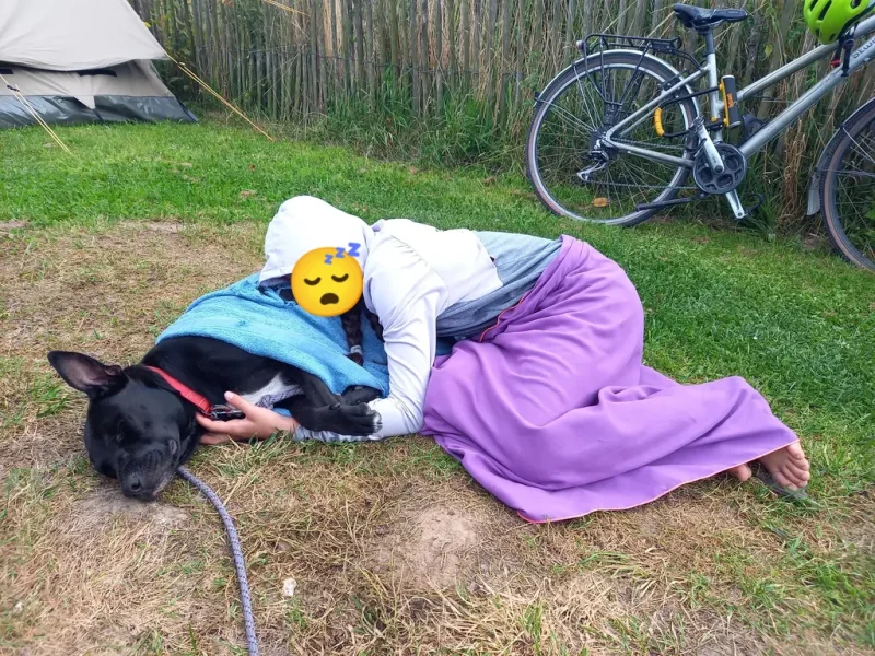 un ado endormi sur le chien