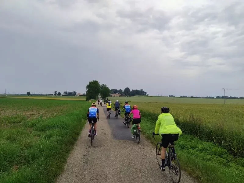 Cyclistes sur une petite route dans les champs