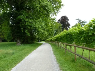 chemin le long des vergers