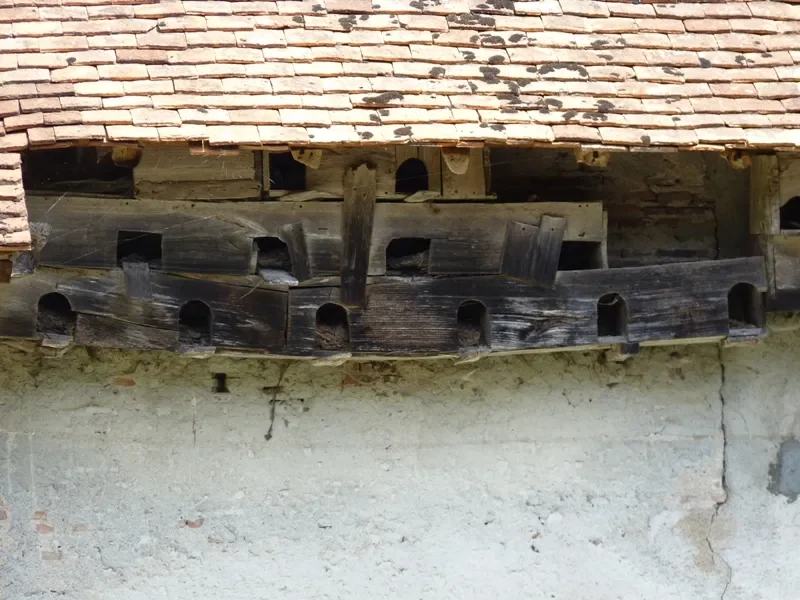 pigeonnier sous un toit