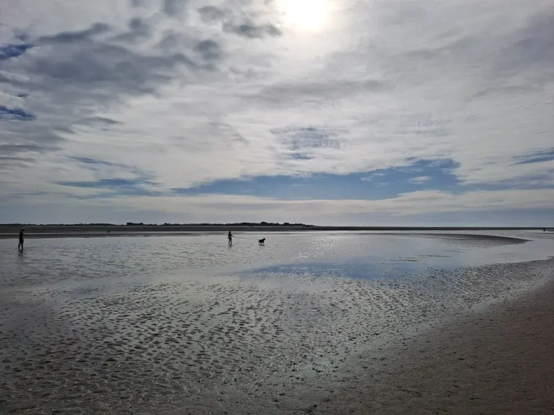 un enfant promène le chien à la plage