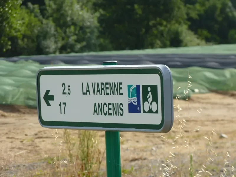 Direction Ancenis sur l'Eurovélo 6 / la Loire à vélo