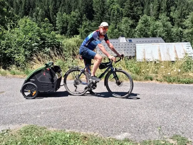 Le chien dans sa remorque derrière le vélo