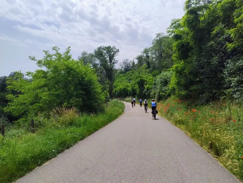 Cyclistes sur une petite route le long des forêts de la Dombes