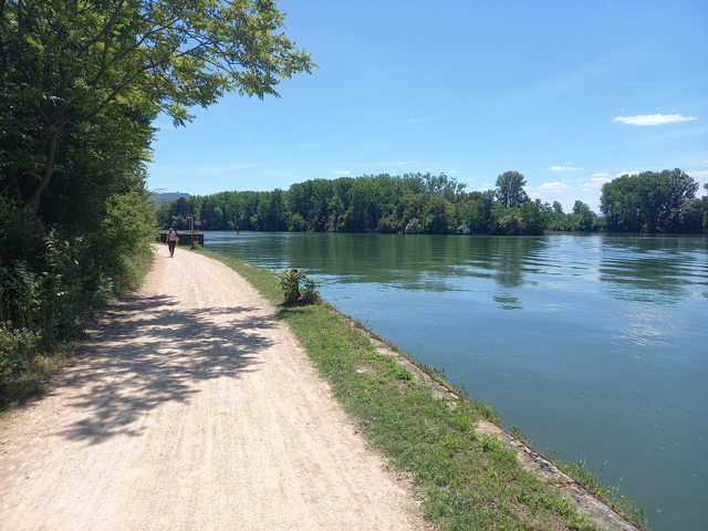 Piste cyclable (ancien chemin de halage) en terrain stabilisé au bord de la Saône sous un grand soleil.