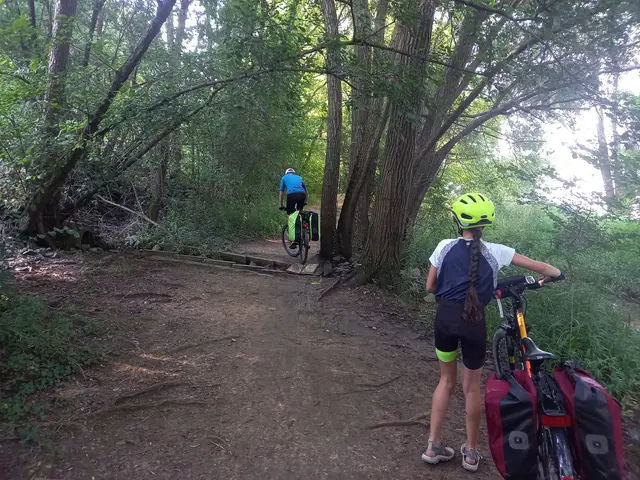 Chemin cyclable en sous bois avec des racines, un enfant à vélo vient de franchir un mini pont en bois, une autre enfant pousse son vélo.